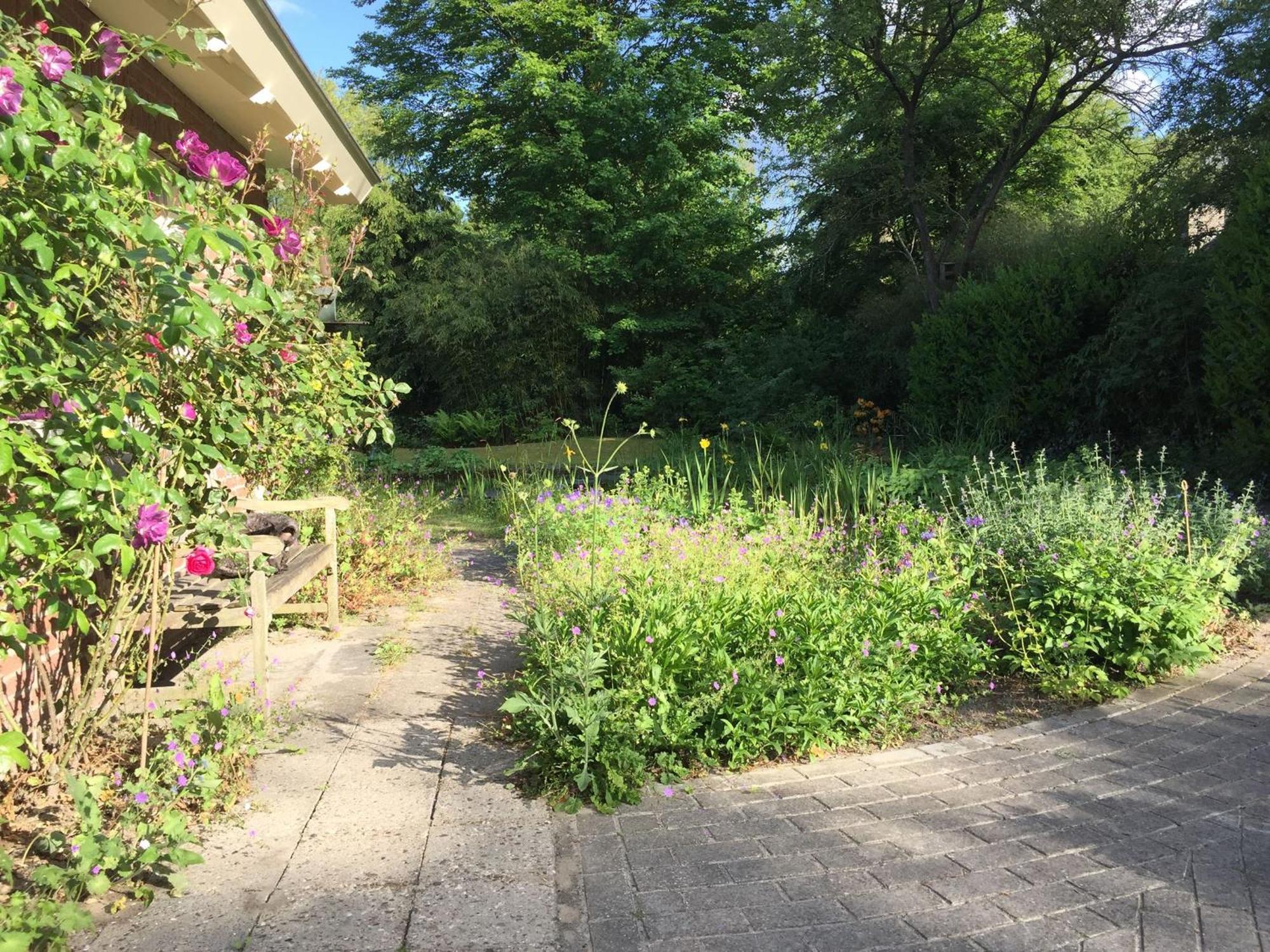 Huisje De Geluksvogel Zorgvlied Kültér fotó